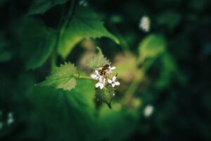 Leading Change with Curiosity
